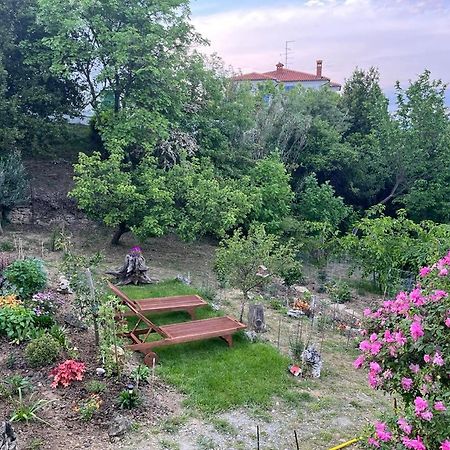 Studio Olea Koper Dış mekan fotoğraf